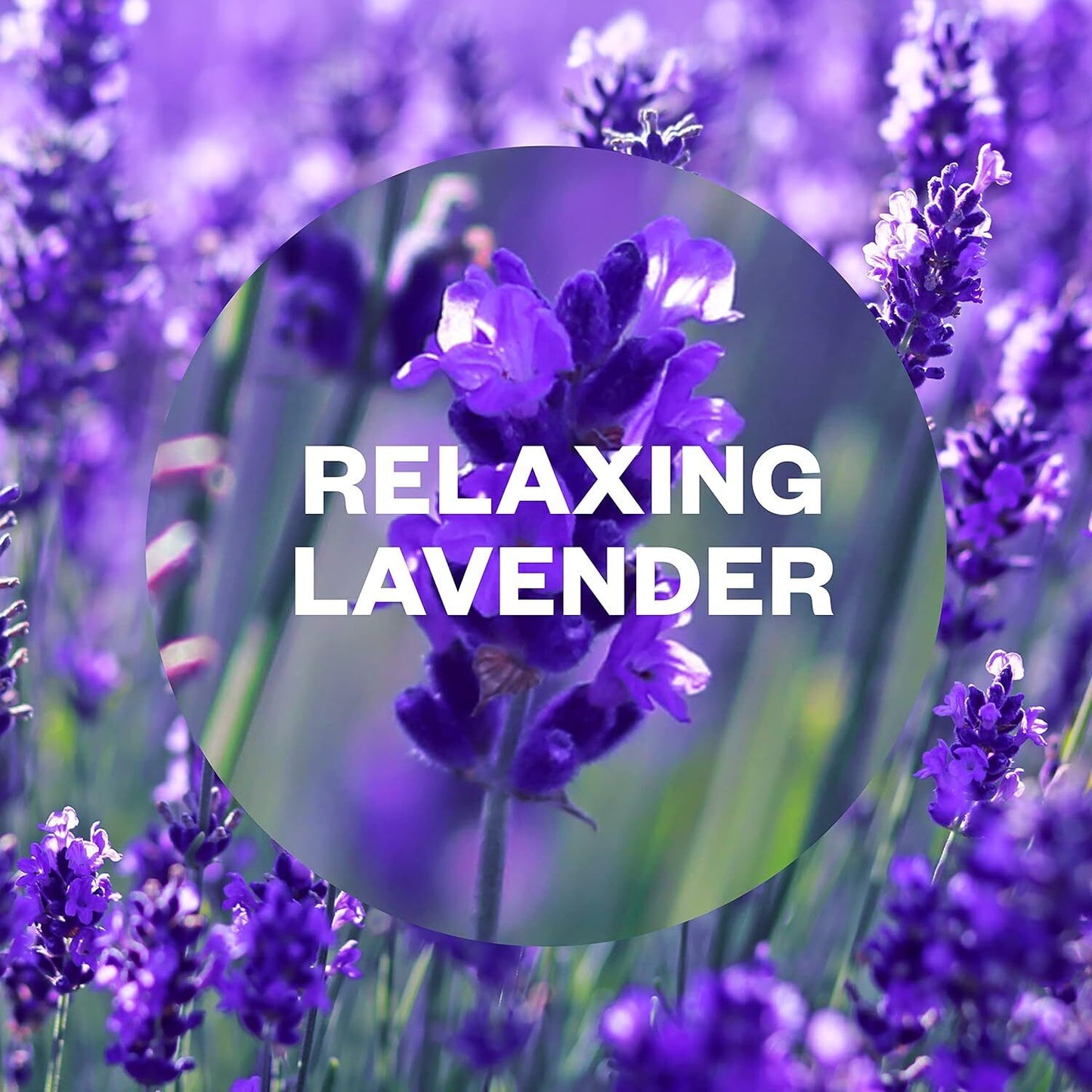 Air Wick Essential Mist Diffuser Refill + Batteries Lavender