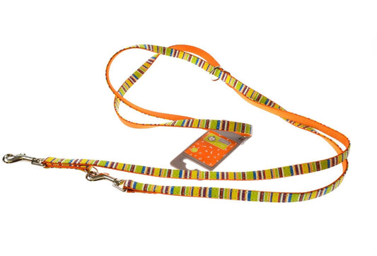 Hunter Dog Training Leash Lead Fancy Stripes Blue or Orange